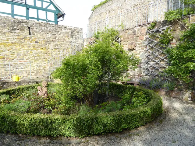 Rosengarten 2026-19, 10.05.2026.