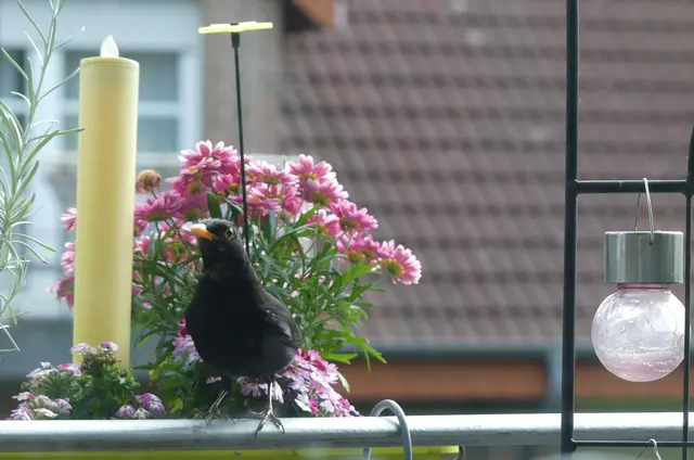 
alles ok hier ?