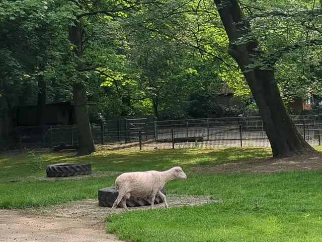 Kaisergarten Oberhausen | Foto: Astrid Günther
