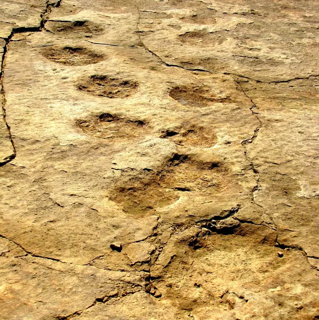 In einem abgetrennten Bereich des Steinbruchs können wir rund 2700 Fußabdrücke von Dinosauriern bestaunen.  | Foto: Kurt Wolter