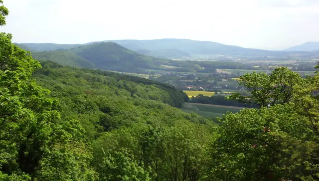 Weserabwärts machen wir bei Hessisch Oldendorf einen Abstecher in die Berge. Der Süntel ruft uns, in dem wir schon so manches Mal gewandert sind.  | Foto: Kurt Wolter