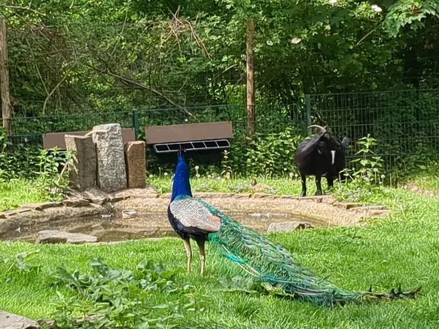 Kaisergarten Oberhausen | Foto: Astrid Günther