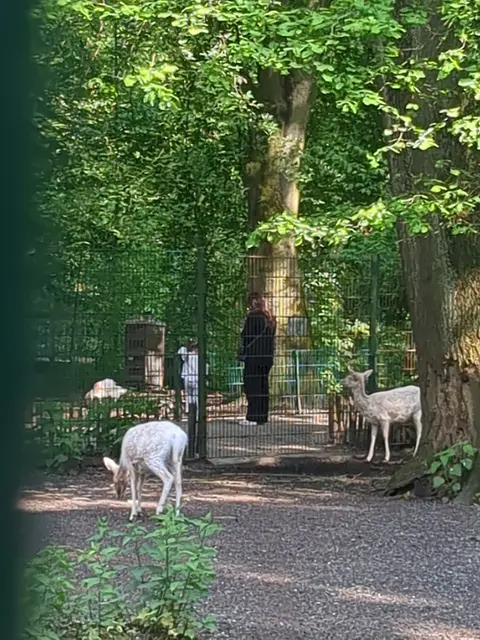 Kaisergarten Oberhausen | Foto: Astrid Günther