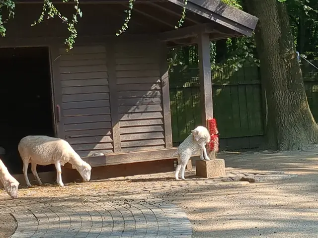 Kaisergarten Oberhausen | Foto: Astrid Günther