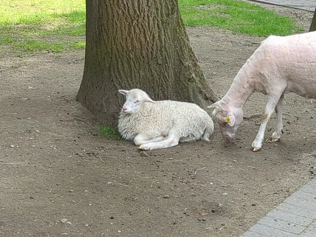 Na los, beweg Dich! | Foto: Astrid Günther