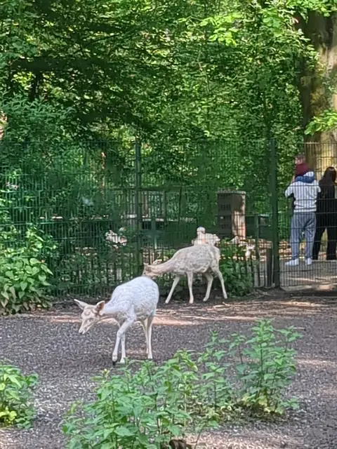 Kaisergarten Oberhausen | Foto: Astrid Günther