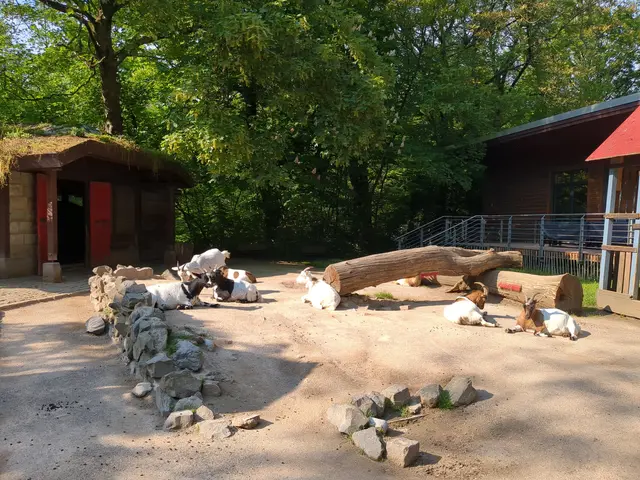 Kaisergarten Oberhausen | Foto: Astrid Günther
