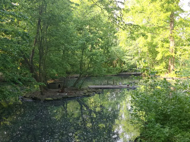 Kaisergarten Oberhausen | Foto: Astrid Günther