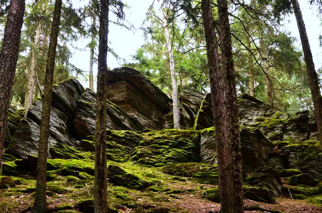Die Hinterländer Schweiz.