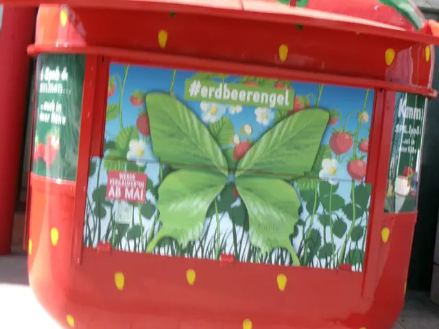 Foto: N. Käse