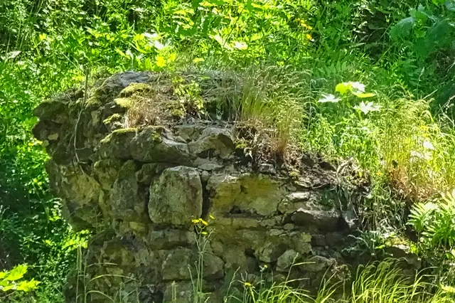 Mauerreste der Burgruine Erichsburg