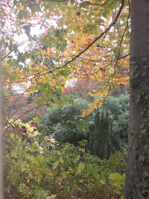 Botanischer Garten Duisburg | Foto: Astrid Günther