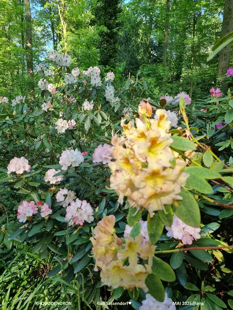FARBEN überall ♥