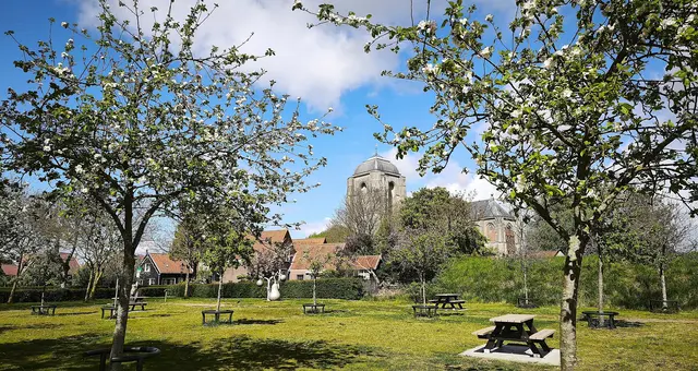 Blick auf Veere mit seiner auffälligen Kirche | Foto: Shima Mahi