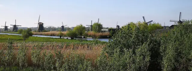 In Kinderdijk gibt es neunzehn Windmühlen. | Foto: Shima Mahi