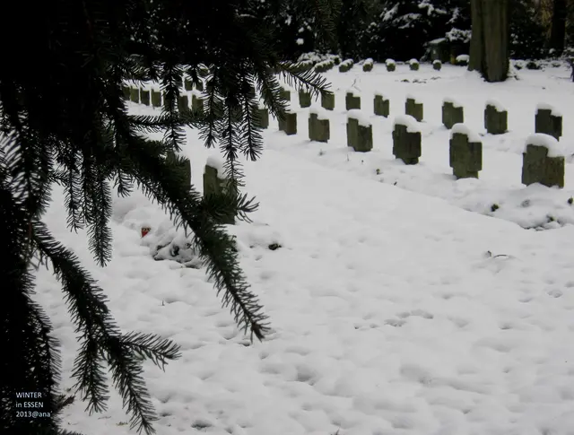Südwestfriedhof
Essen, 2013