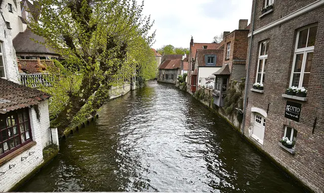 Blick in eine Gracht | Foto: Shima Mahi