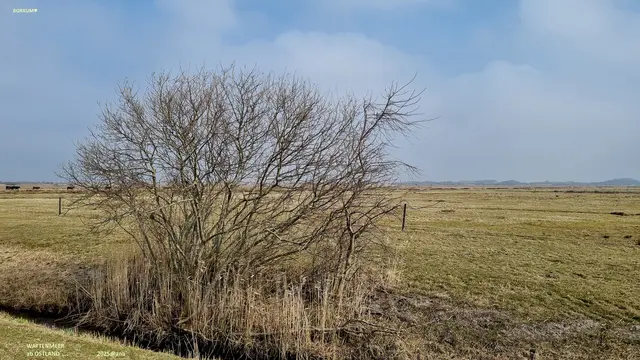 WEITES Land