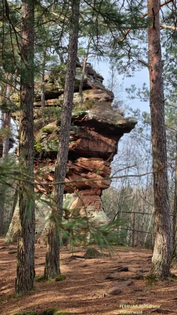 Felsenwände in DAHN und Umgebung