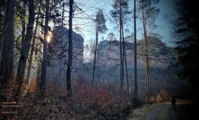 sonnig-kalter Morgen ♥