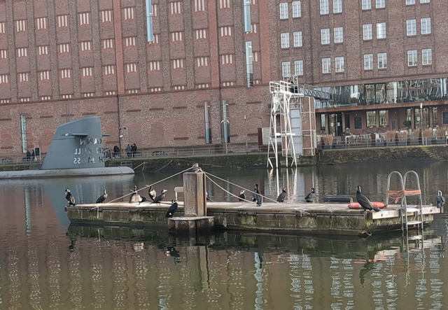 Innenhafen Duisburg | Foto: Astrid Günther