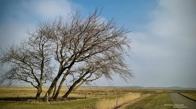 ♥♥♥
BORKUM Erinnerungen