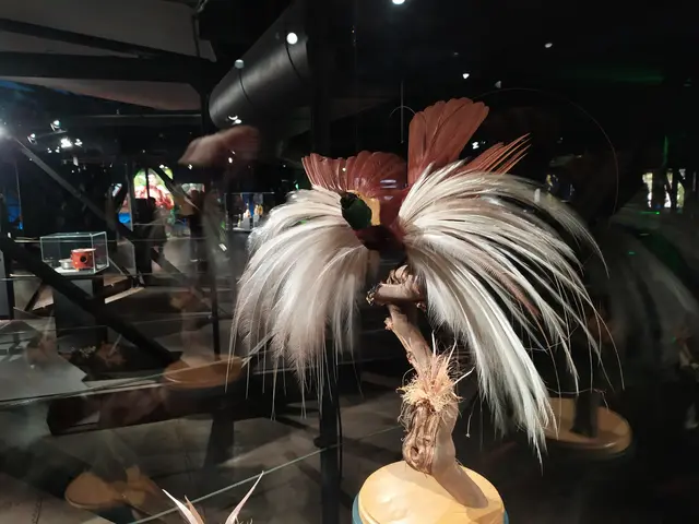 Paradiesvogel
Bild eines Präparates aus der Ausstellung
Die Natur produziert auch "Verschwendung", wenn sie sinnvoll ist.
