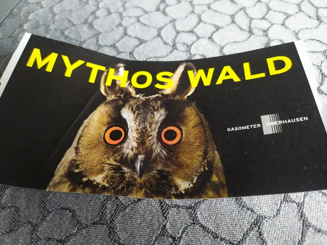 Eintrittskarte zur Ausstellung