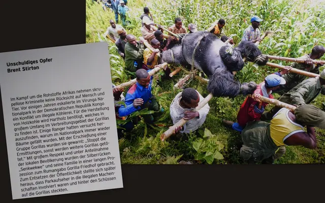 Foto: Die Fotos sind mein Eigentum und dürfen ohne meine Genehmigung nicht weiter verbreitet werden.