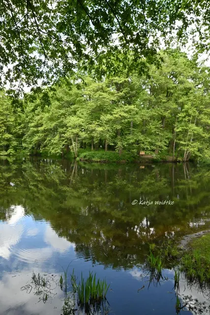 Parks und Gärten in Niedersachsen (Foto: Katja Woidtke)

Pure Entspannung im sanierten Stadtpark Langenhagen | Foto: Katja Woidtke