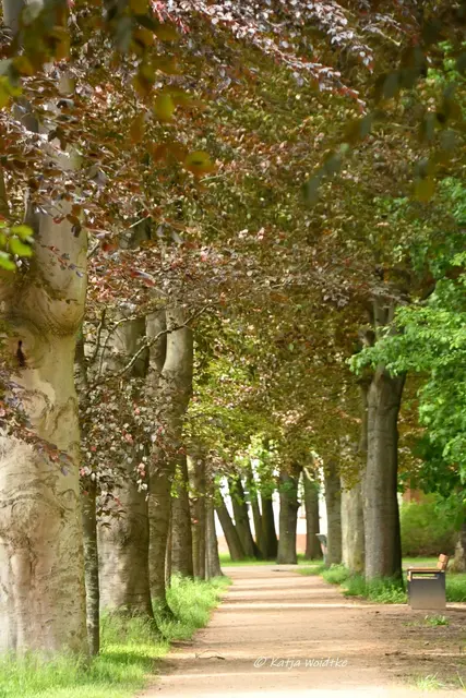 Parks und Gärten in Niedersachsen (Foto: Katja Woidtke)

Pure Entspannung im sanierten Stadtpark Langenhagen | Foto: Katja Woidtke