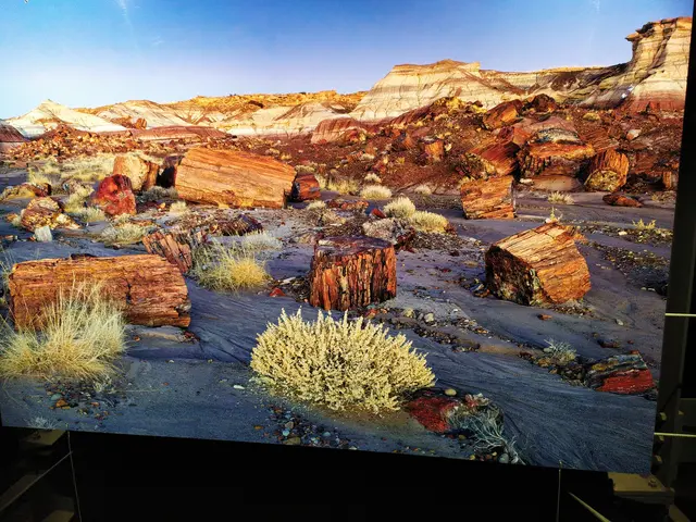 Versteinerte Bäume in einem US-Nationalpark | Foto: Abbildung eines Bildes aus der Ausstellung