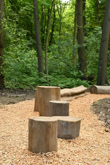 Parks und Gärten in Niedersachsen (Foto: Katja Woidtke)

Pure Entspannung im sanierten Stadtpark Langenhagen | Foto: Katja Woidtke