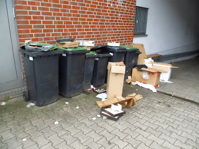 Foto 2 (2) Mülltonnen mit blauen und grünen Deckel sowie wild umliegender loser Müll in der Innenstadt Wesel, Esplanade. (Abfuhrbezirk 7)
Sachstand: So., 17.05.2026, 16:27 Uhr | Foto: Siegmund Walter, 17.05.2026, 16:27 Uhr