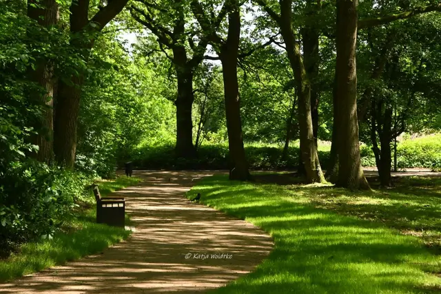 Parks und Gärten in Niedersachsen (Foto: Katja Woidtke)

Pure Entspannung im sanierten Stadtpark Langenhagen | Foto: Katja Woidtke