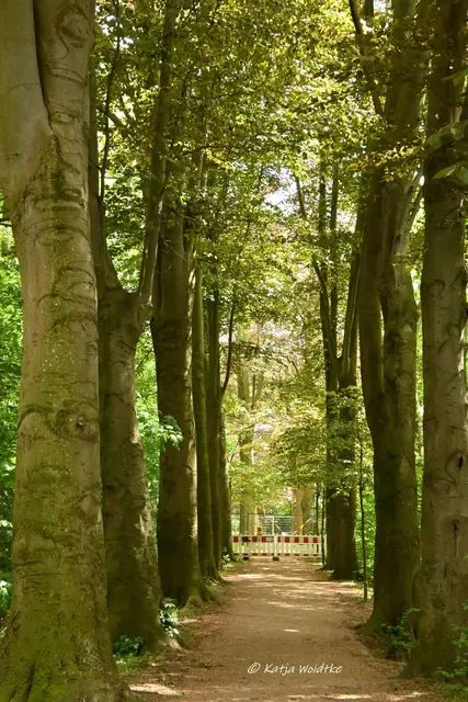 Parks und Gärten in Niedersachsen (Foto: Katja Woidtke)

Pure Entspannung im sanierten Stadtpark Langenhagen | Foto: Katja Woidtke