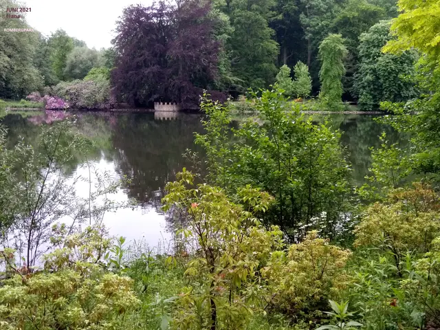 Wasser