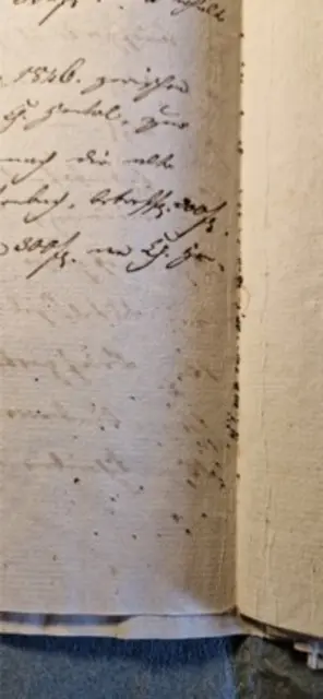 Reste von Streusand in den Briefen von 1826 von Müller Pfeil noch heute zu finden.