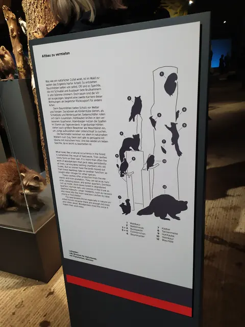 Eine der vielen informativen Tafeln der Ausstellung - hier zu den Präparaten vom Bild zuvor