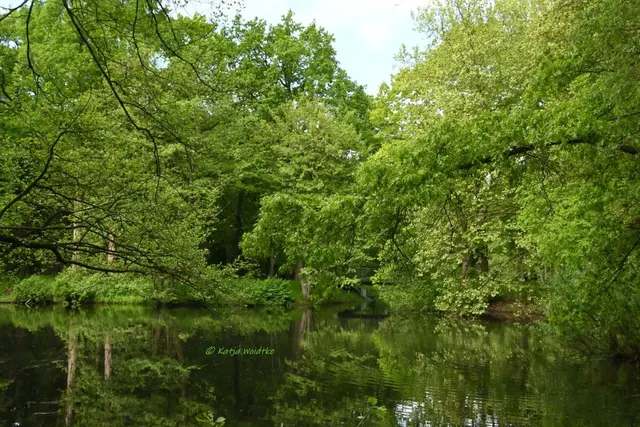 Parks und Gärten in Niedersachsen (Foto: Katja Woidtke)

Pure Entspannung im sanierten Stadtpark Langenhagen | Foto: Katja Woidtke