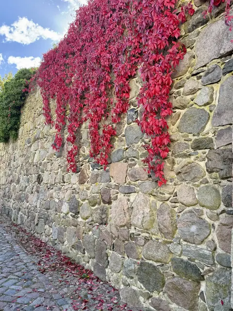 Symbolbild - denn im Gegensatz zu vielen anderen Städten ist in Lünen von der Stadtmauer nichts mehr zu sehen. | Foto: Mylene auf Pixabay