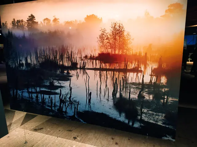 Nebelmoor
 | Foto: Abbildung eines Bildes aus der Ausstellung