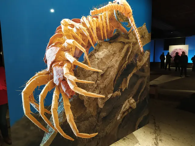 Winziges Monster - ein Hundertfüßler | Foto: Abbildung eines Bildes aus der Ausstellung