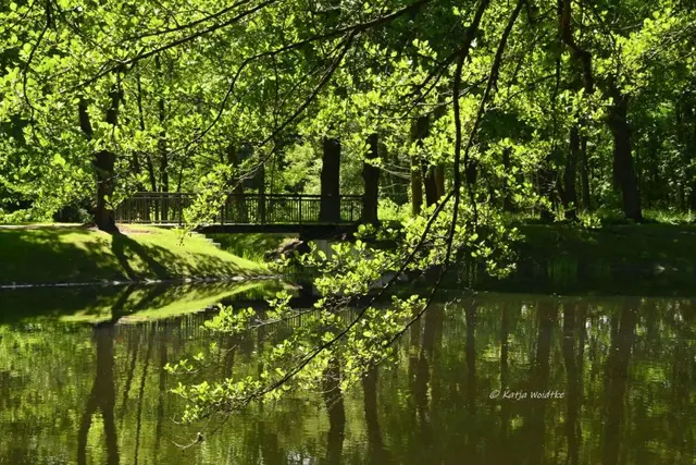 Parks und Gärten in Niedersachsen (Foto: Katja Woidtke)

Pure Entspannung im sanierten Stadtpark Langenhagen | Foto: Katja Woidtke