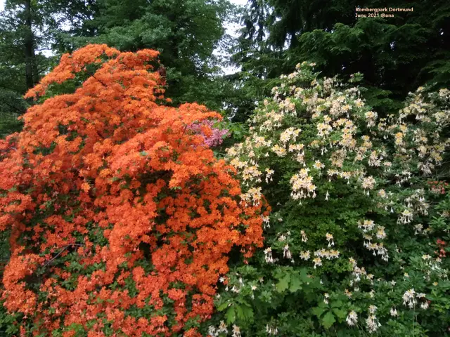 BUNT!