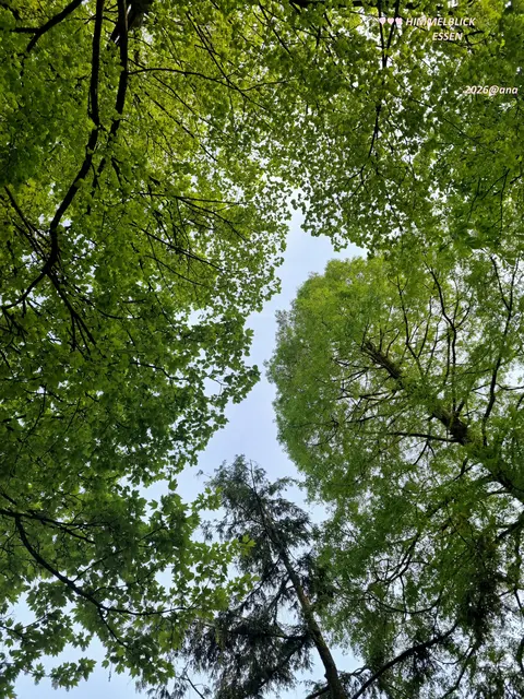 HIMMEL-wärts´♥