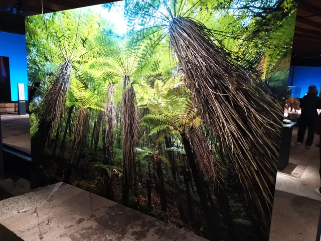 So in etwa haben die Wälder im Carbon ausgesehen - dem Zeitalter als die Wälder wuchsen aus denen die heutige Kohle entstanden ist. | Foto: Abbildung eines Bildes aus der Ausstellung