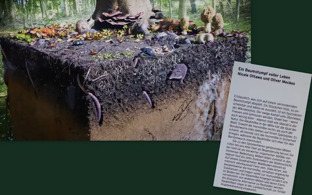 Foto: Die Fotos sind mein Eigentum und dürfen ohne meine Genehmigung nicht weiter verbreitet werden.