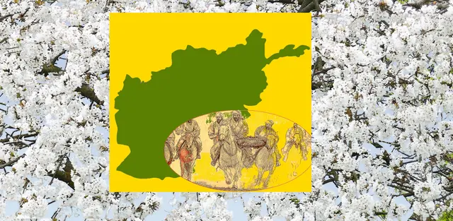 Iris - 1 Punkt -  Afghanistan /  Buzkashi