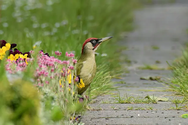 Foto: Copyright Andreas Schäfer
